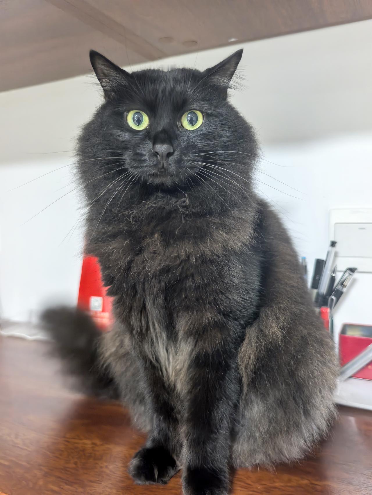 我太认同了！两会代表刘希娅提出“减少中小学学科数量”建议，我太认同了！现在孩