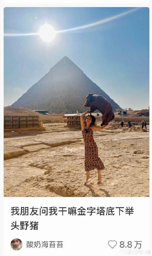 看了三遍还是野猪