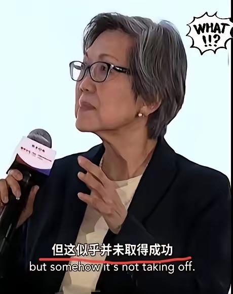 听到新加坡那位大使的话，我差点以为自己耳朵出了问题。她说中国商品在东南亚“倾