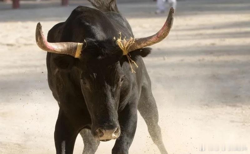 A股午后冲高再次回落，接下来怎么应对？就在下午一点三十多分的时候，上证指数的跌幅