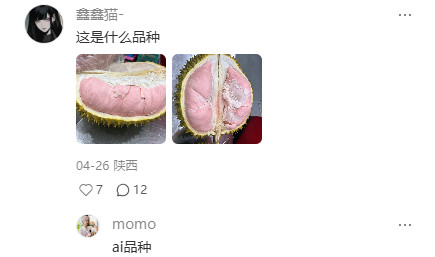 这是什么品种