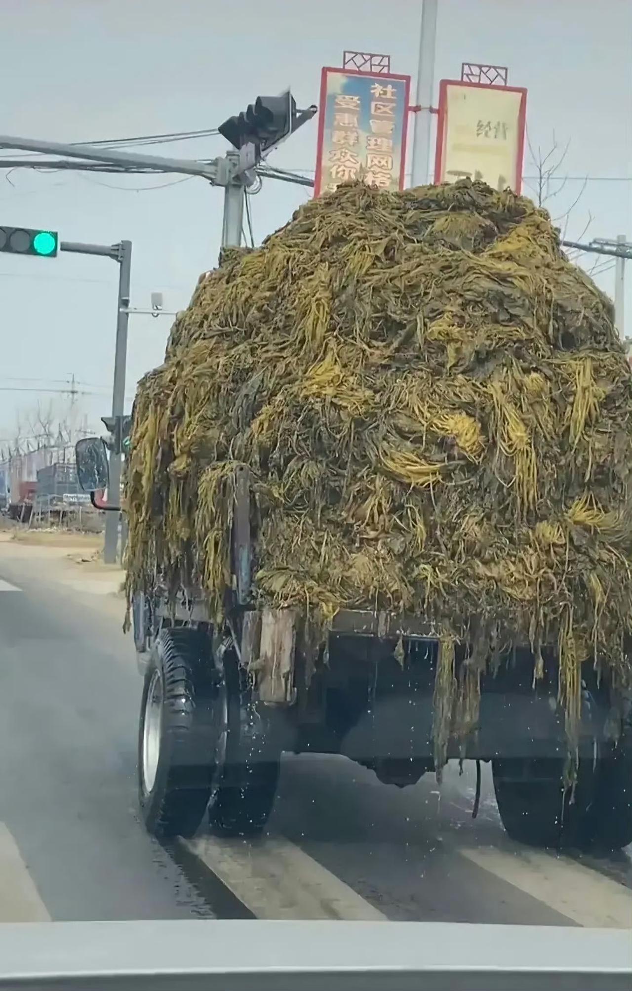 三年了还没长记性？酸菜池又现恶心操作！工人站在酸菜池里翻搅，嘴里叼着烟，烟头直