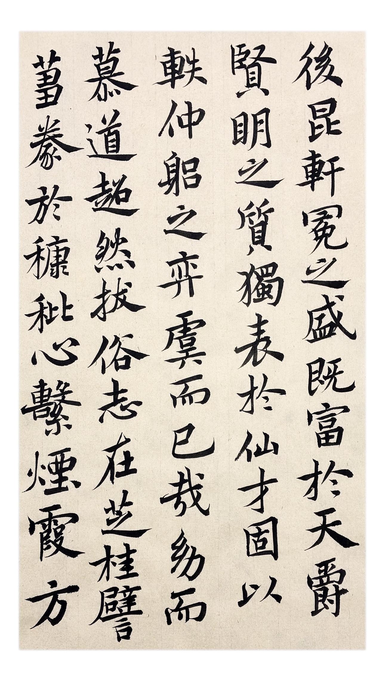 传统经典临摹红玫瑰月季