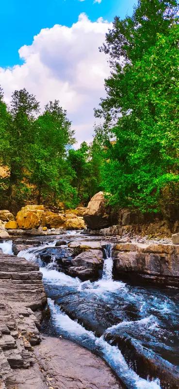 人生最雅的状态，是一半清欢，一半山河。不必奔赴万里，心闲皆是风月；无须追逐浮