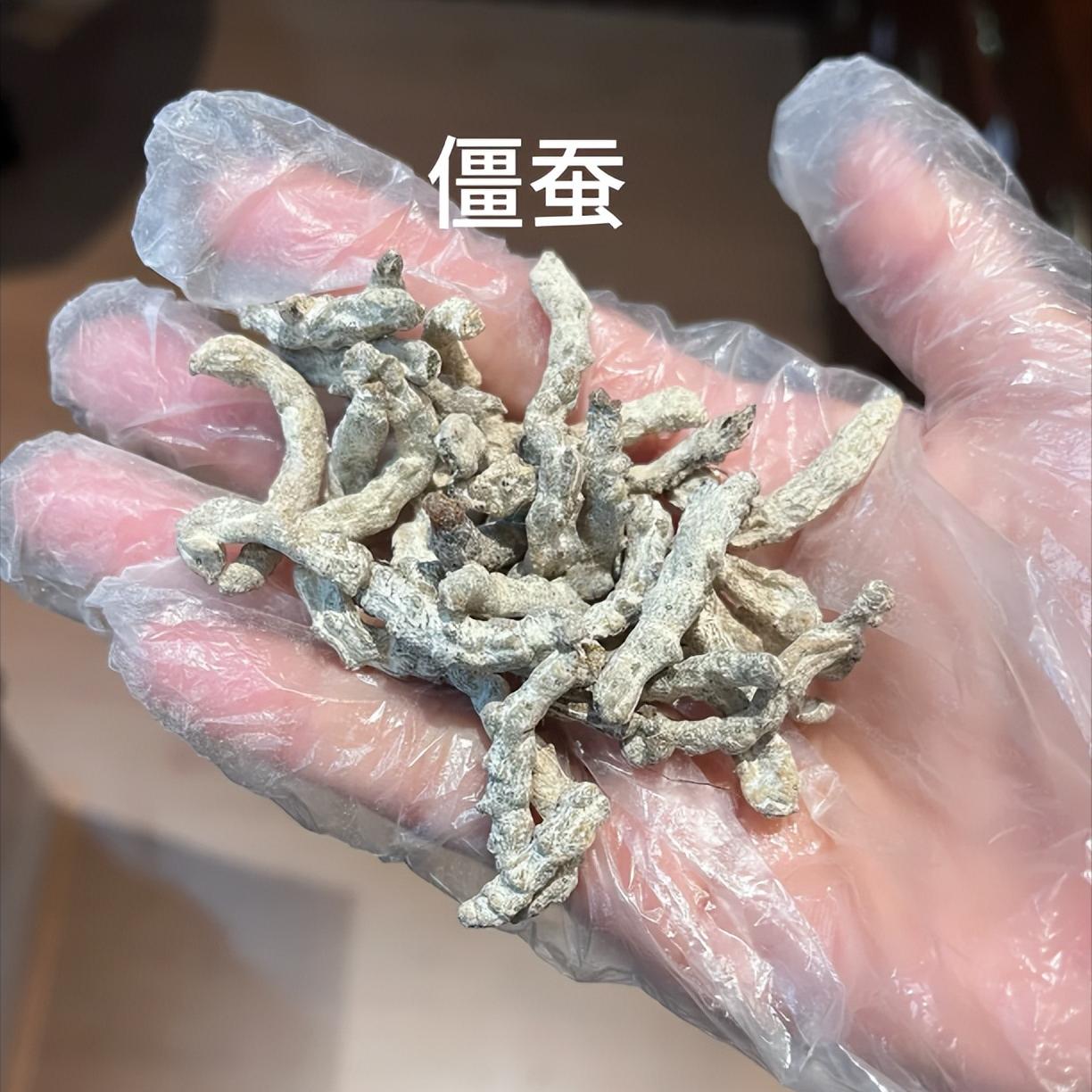 耳鸣缠人、一烦就响！这个调理思路我守30年，耳朵脑袋不清爽的人可以看看！