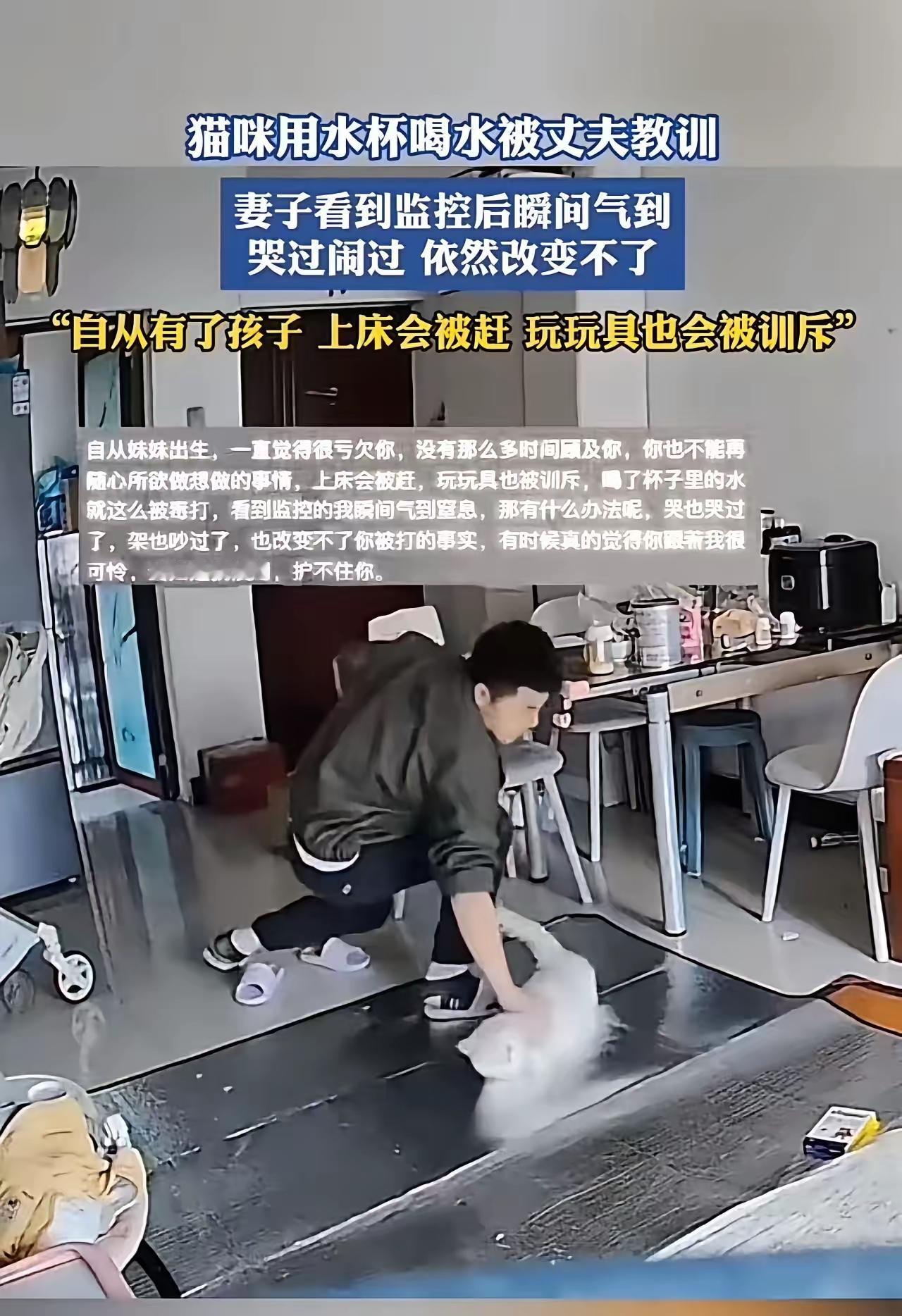 孩子重要，还是猫重要？这个问题看似简单，却牵扯出家庭中最敏感的那根神经。就在昨天