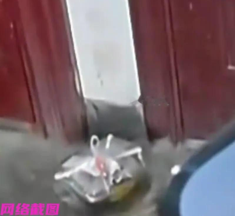 天津有外卖小哥送餐当中，遇到点餐客人为高考失利的女孩，外卖送到家门口女孩说不要了