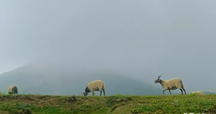 驻村干部精准选派与长效管理：乡村振兴的关键一步
