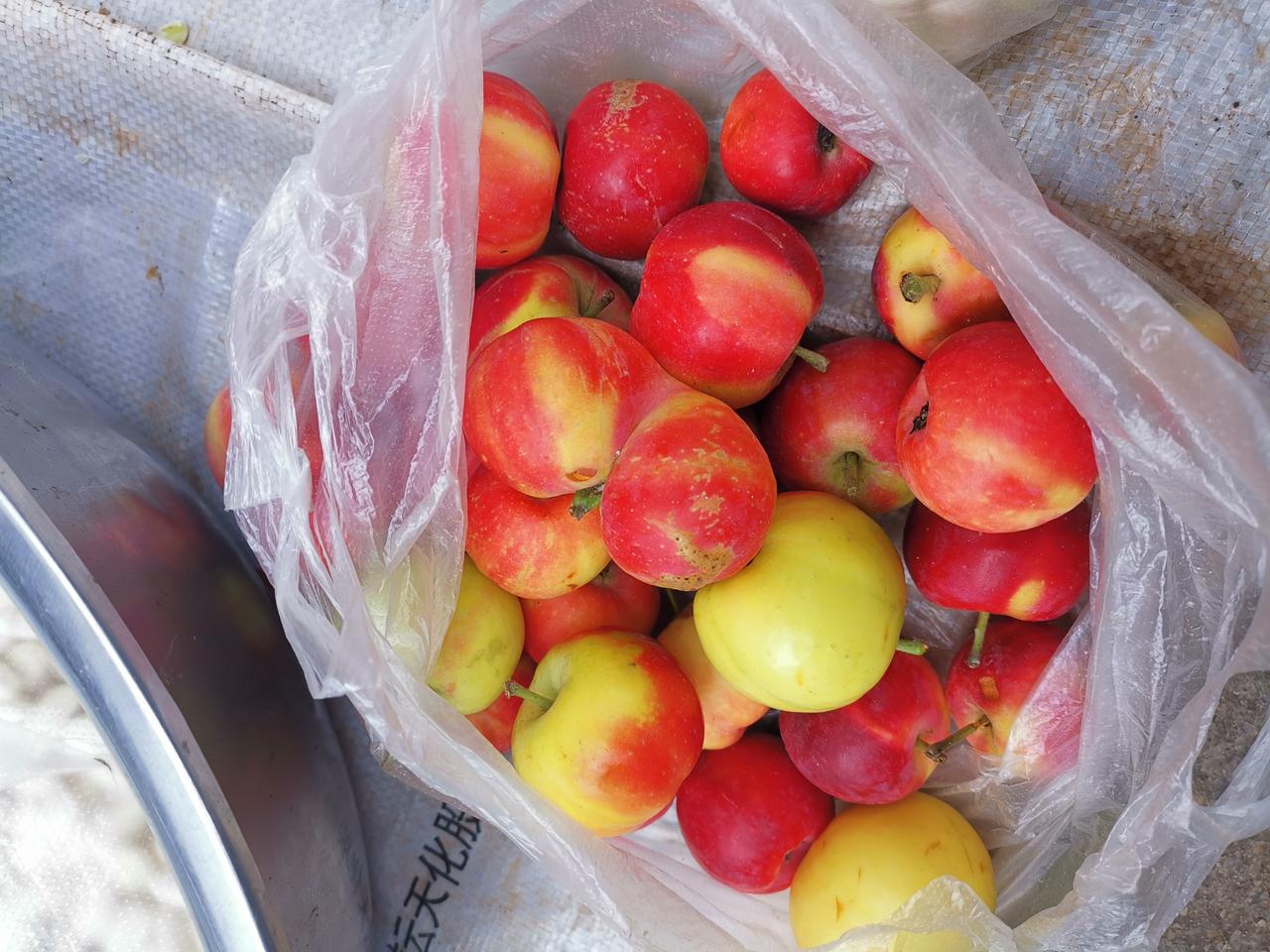 你过年喜欢走亲戚吗？以前过年走亲戚，那氛围简直绝了！正月里，一家人穿戴得整整