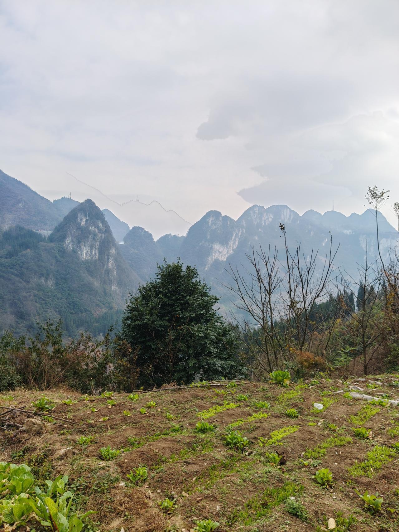 有一个很有钱但又很抠门的老板，长期被腿痛折磨，自从学会大方，舍得花钱后，那个腿病