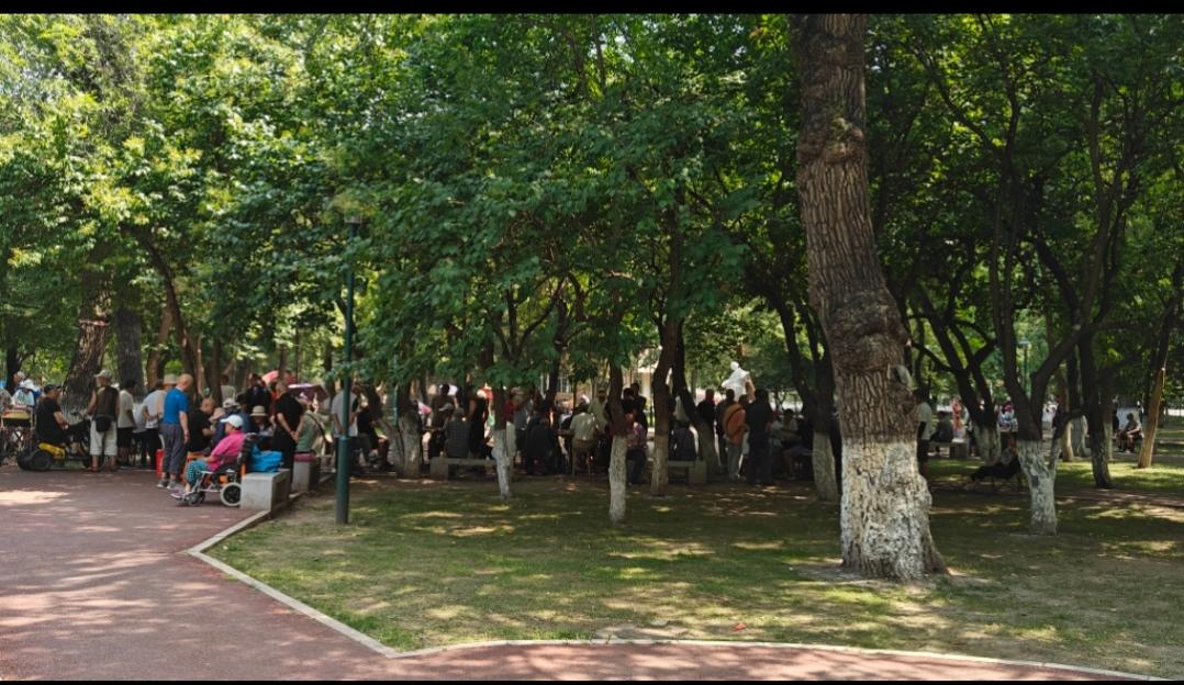 上午闲着没事，跑附近公园逛了一圈。公园里都是退休老头老太太，说句心里话，绝大多数