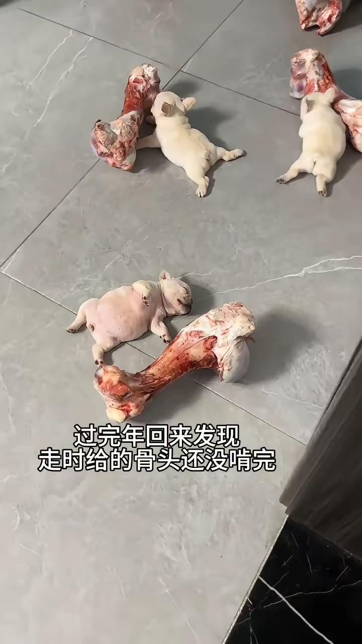 过完年了，就剩下这几块骨头了酒水就不要了……[捂脸哭]