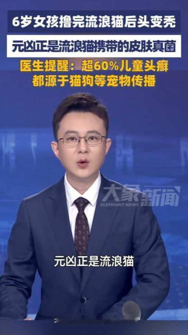 吓人！河南郑州，6岁小女孩蹲在路边逗摸流浪猫片刻，回家没多久头顶就大块掉发。家长
