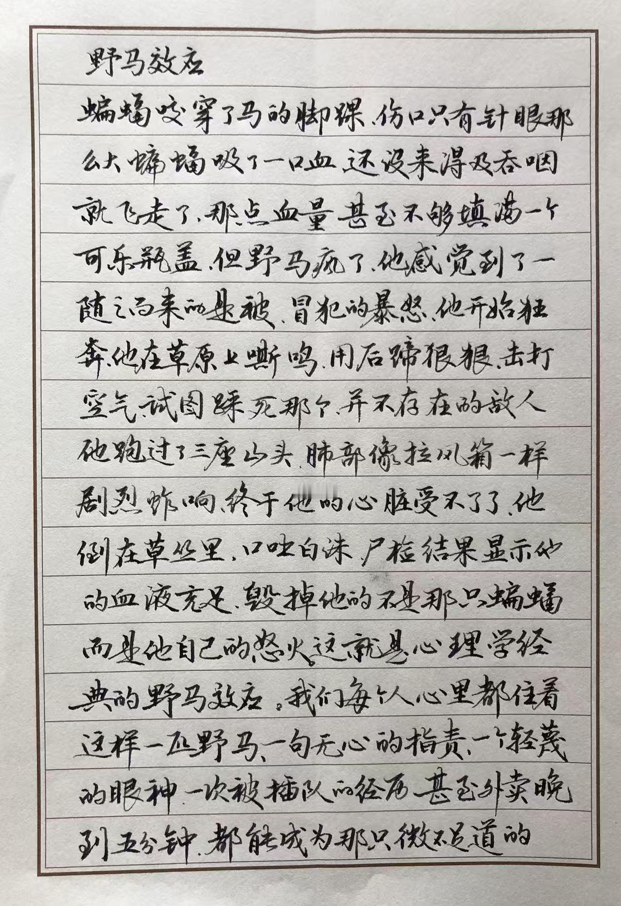 老太太好久没晒字了，因为怎么也进不了书法大门。
