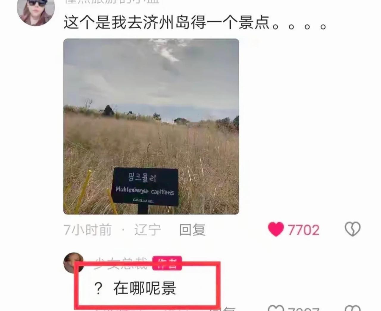 去过韩国的韩剧滤镜碎一地，特别是济州岛，不明白这么普通的海竟然有那么多人去旅游，