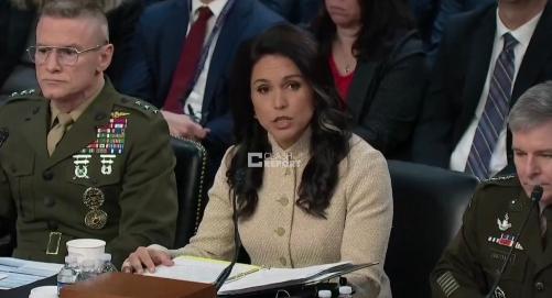 美国国家情报总监图尔西·加巴德今天（北京时间3月19日）在国会作证称，中国寻求发