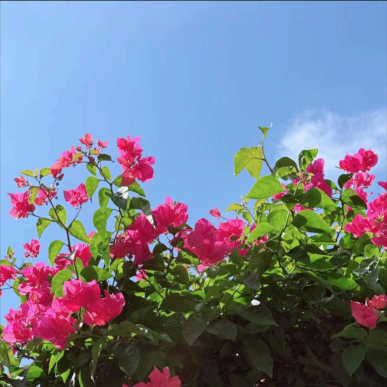 中央经济工作会议这个部署  中小企业和民营经济的重大利好 中央经济工作会议