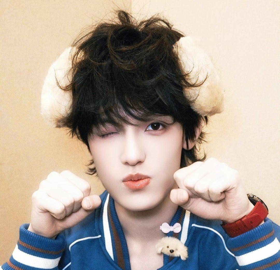 张泽禹超话啊啊啊好可爱张泽禹戴狗耳朵💚张泽禹全世界最尊重狗塑的人