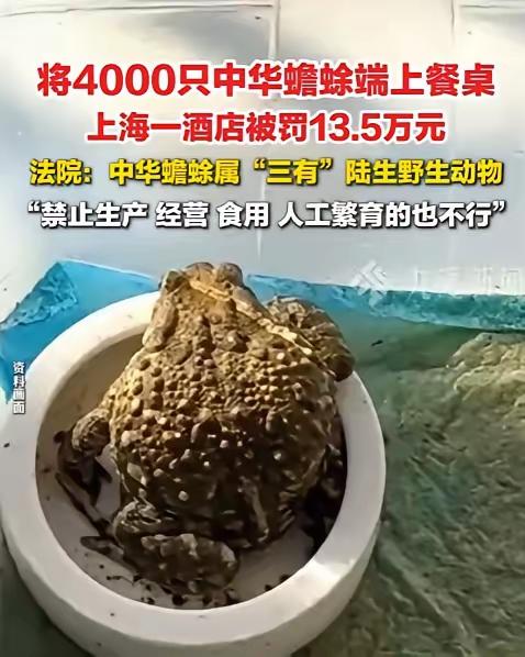 二审判决来了！6月5日法院宣判，上海一家酒店为了暴利，40天内疯狂购入4000只