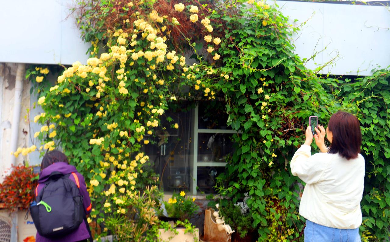 我爸和新阿姨领证那天，请我在餐馆吃了一顿饭。菜刚上全，新阿姨就开口说想把乡下的父