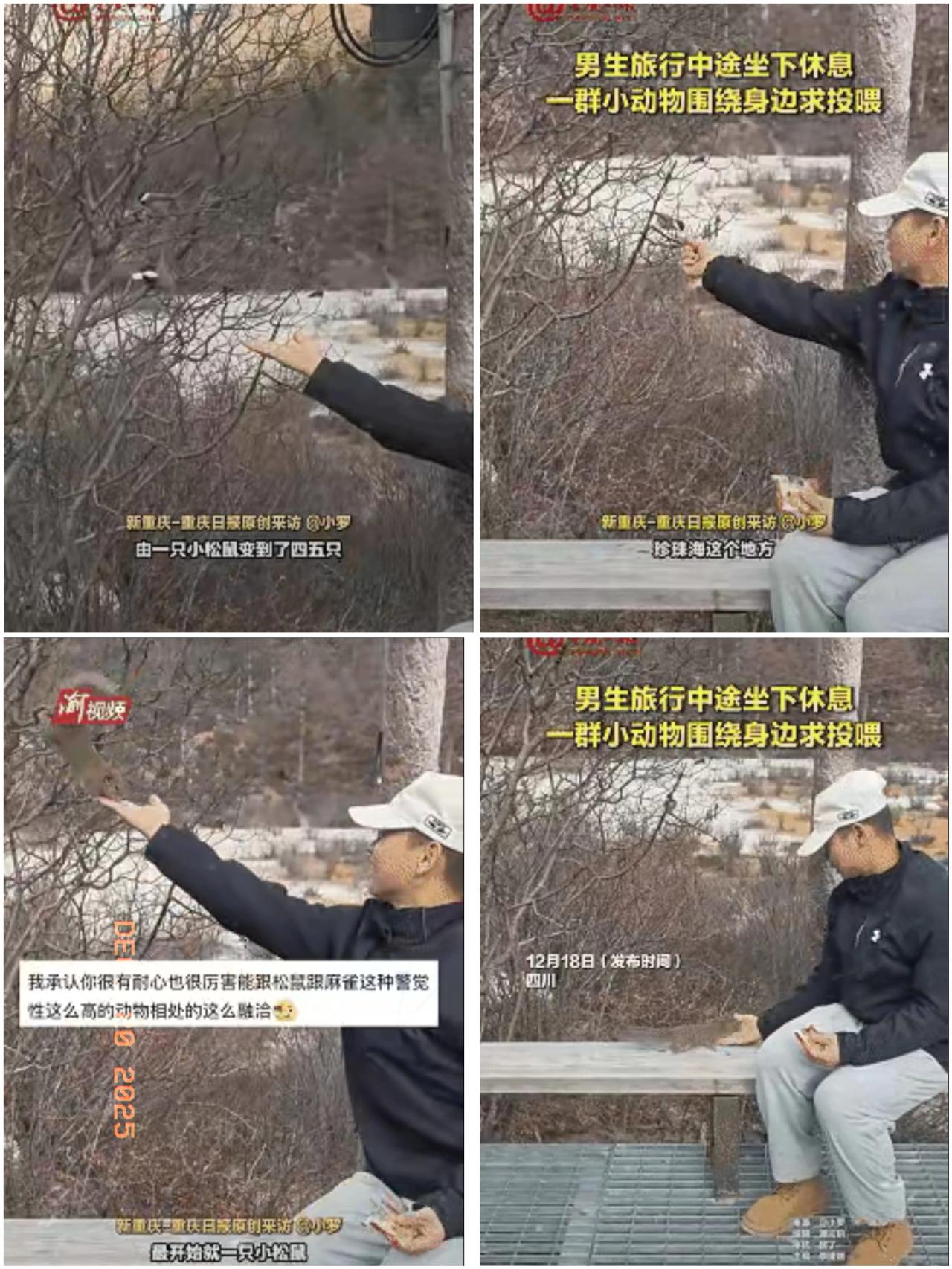 “解释不清了！”四川稻城亚丁的山路上，一男生本想坐下歇口气，没想到随手喂了只松鼠