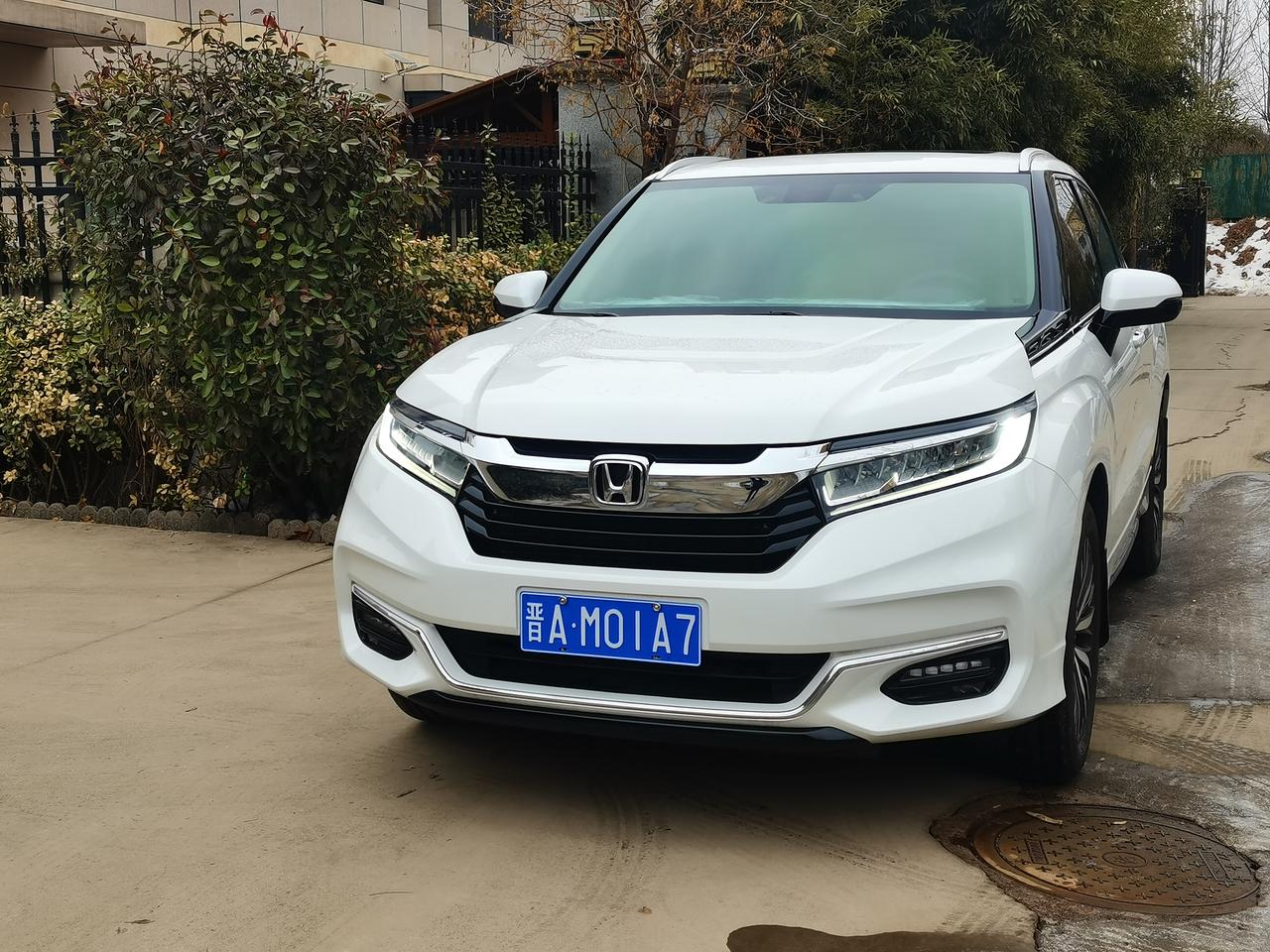 老司机，冠道小白