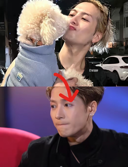 何炅沉默了白敬亭也沉默了不是因为顶流偶像歌手王嘉尔又发歌了，而是因为他说了一