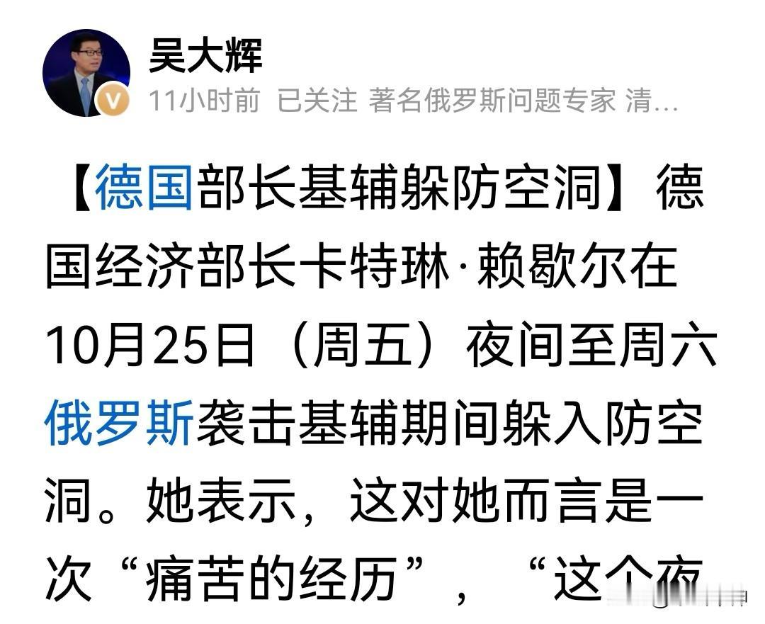 一大早,看到俄罗斯问题专家吴大辉一篇有趣的推文,说的是:德国部长基辅躲防空洞!