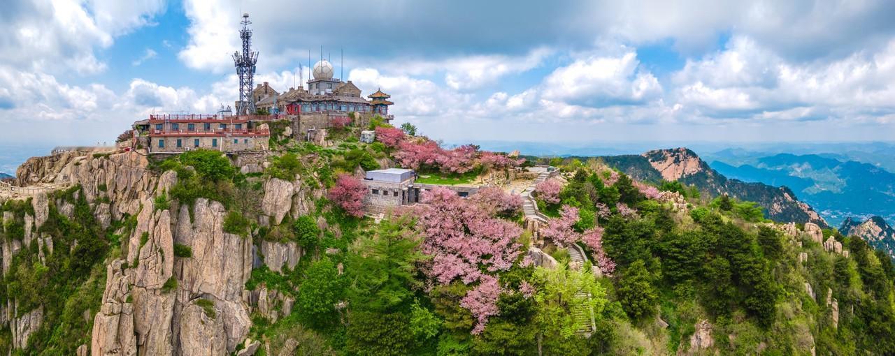 中国核电因为长协电价下降造成负面影响，导致下跌，但与整个电力板块来说影响还算是比