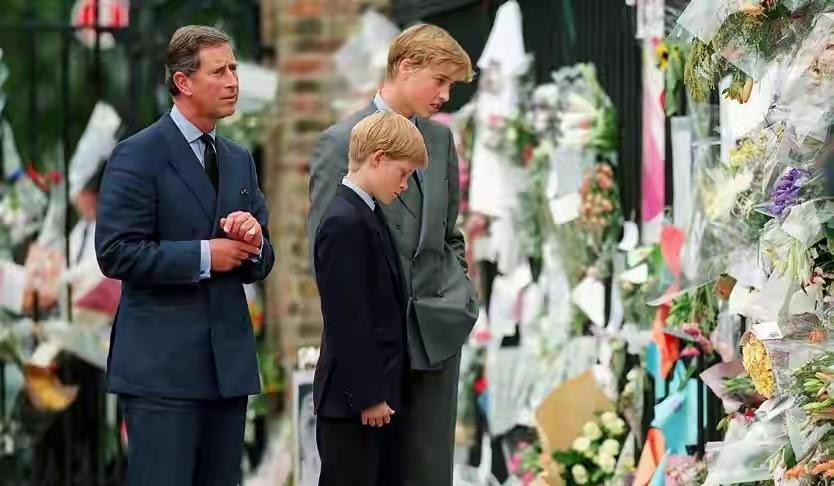 对查尔斯，威廉和哈里是有所怨的吧！毕竟戴安娜去世之时，他们都是少年，有记忆、也