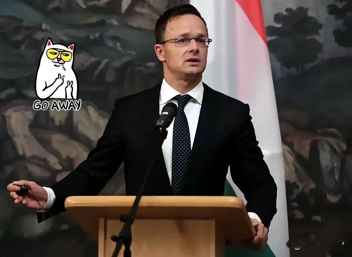 匈牙利全国寻找西雅尔多欧洲新闻网报道，匈牙利候任总理马扎尔4月13日表示，涉