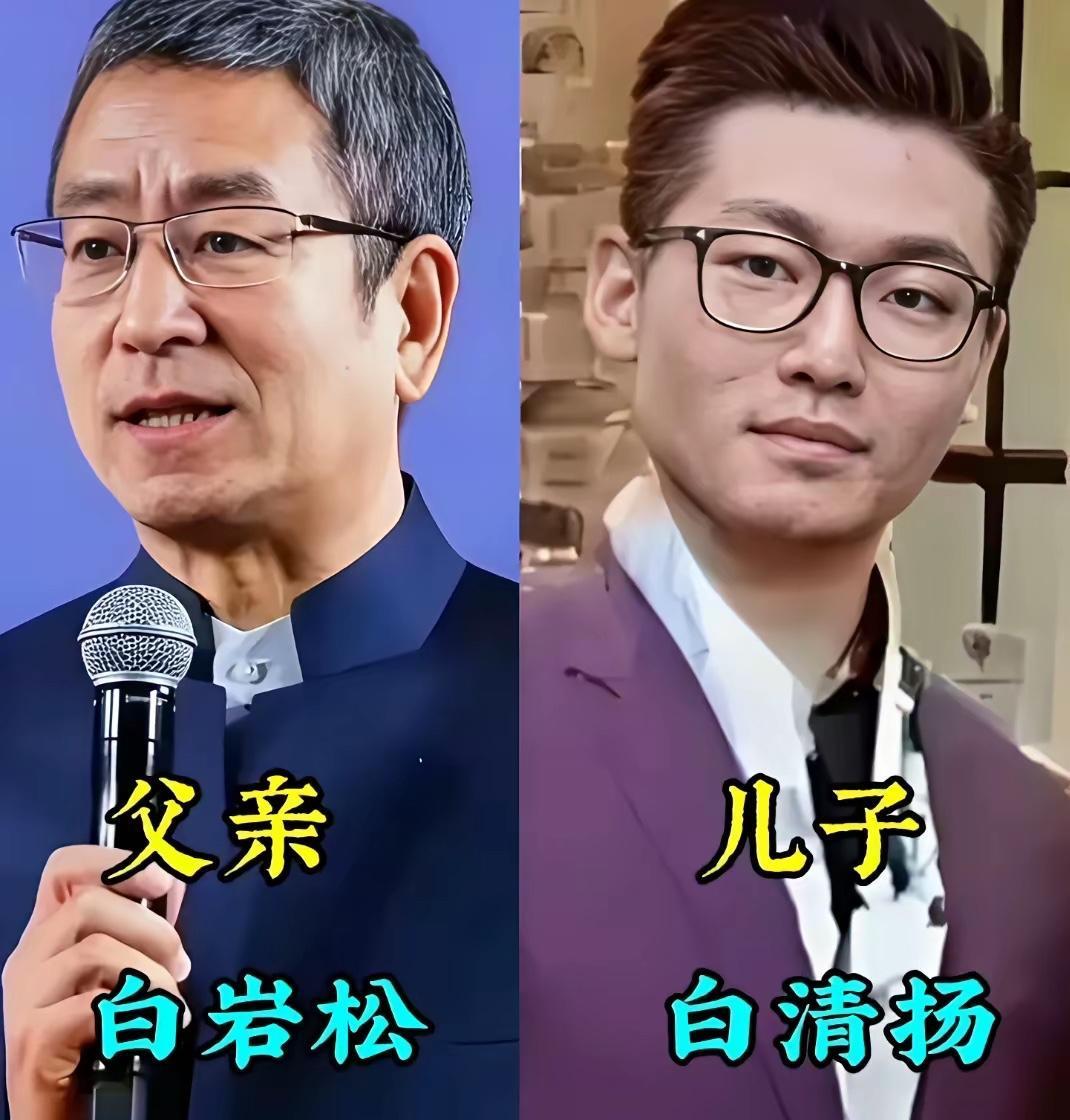有一个当主持人的父母是什么体验他们的人生应该是丰富多彩的吧白岩松的儿子挺有
