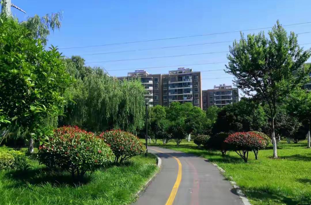 晨跑不是吃苦，是偷了时间的便宜。天还没全亮，人已经跑完了别人一天的劲儿。太阳