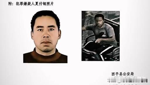 河南西平夏付刚事件，暴露出部分人麻木不仁、法制观念淡薄的特点。夏付刚事件，大约