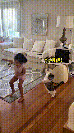 我看了好几遍这个视频，小姑娘在家跑来跑去玩耍，身后的小猫紧紧追着她不放，孩子往哪