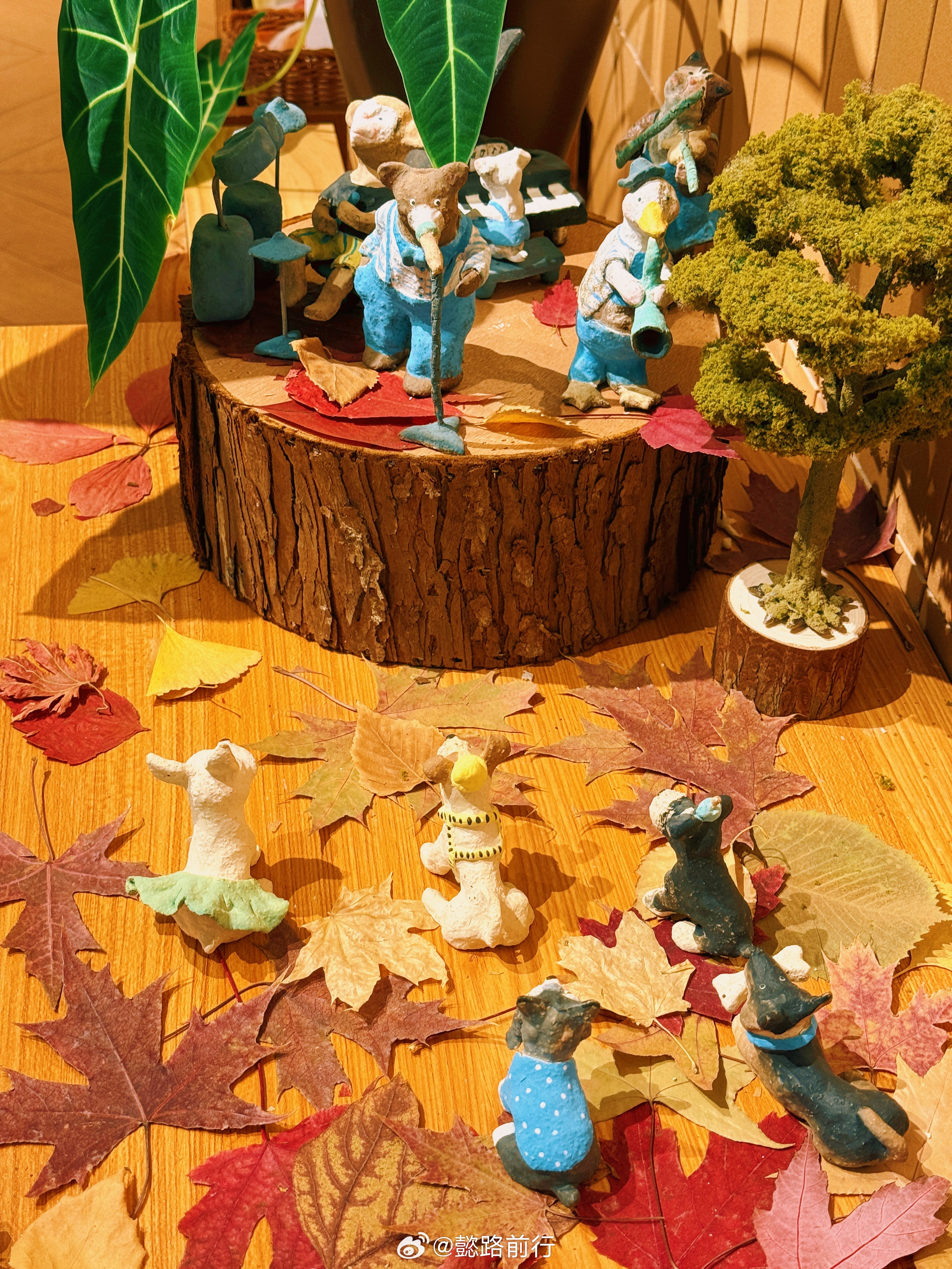 315晚会感觉这才是真正的排雷大会！主要来看看这一年迷迷糊糊踩了多少雷！鸡爪子这