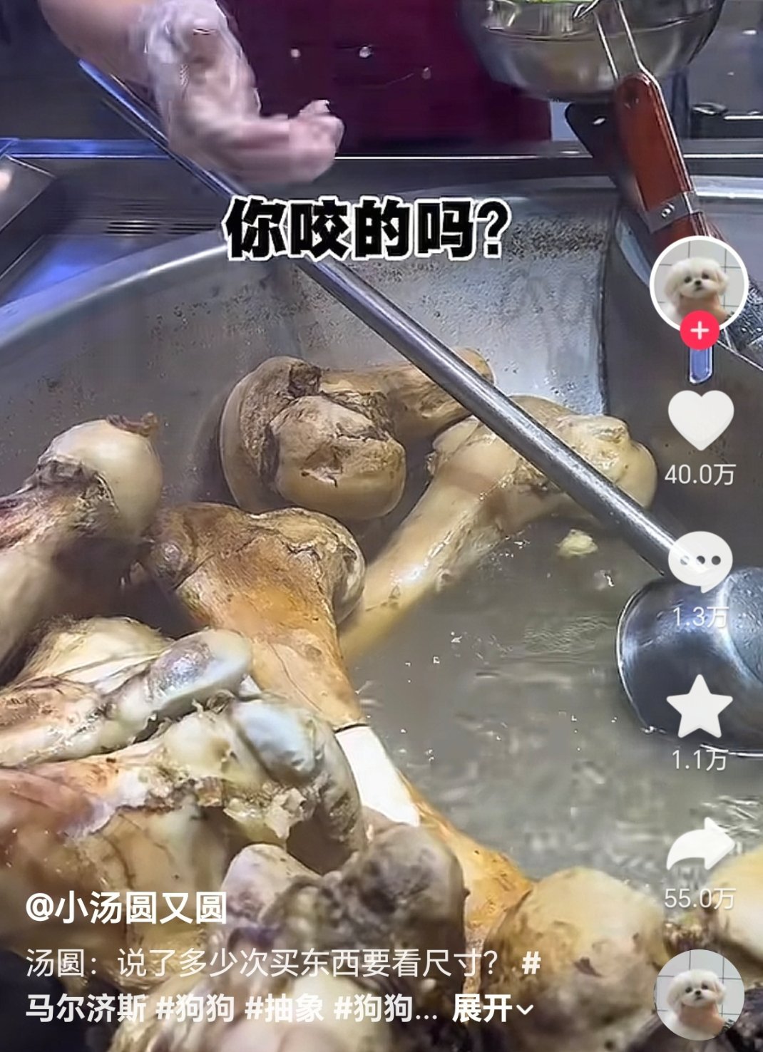 狗:要不你还是自己吃吧？