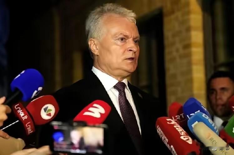 昨天，立陶宛总统瑙塞达对媒体说:“立陶宛因涉台问题遭中国强硬施压，但我也清楚与中