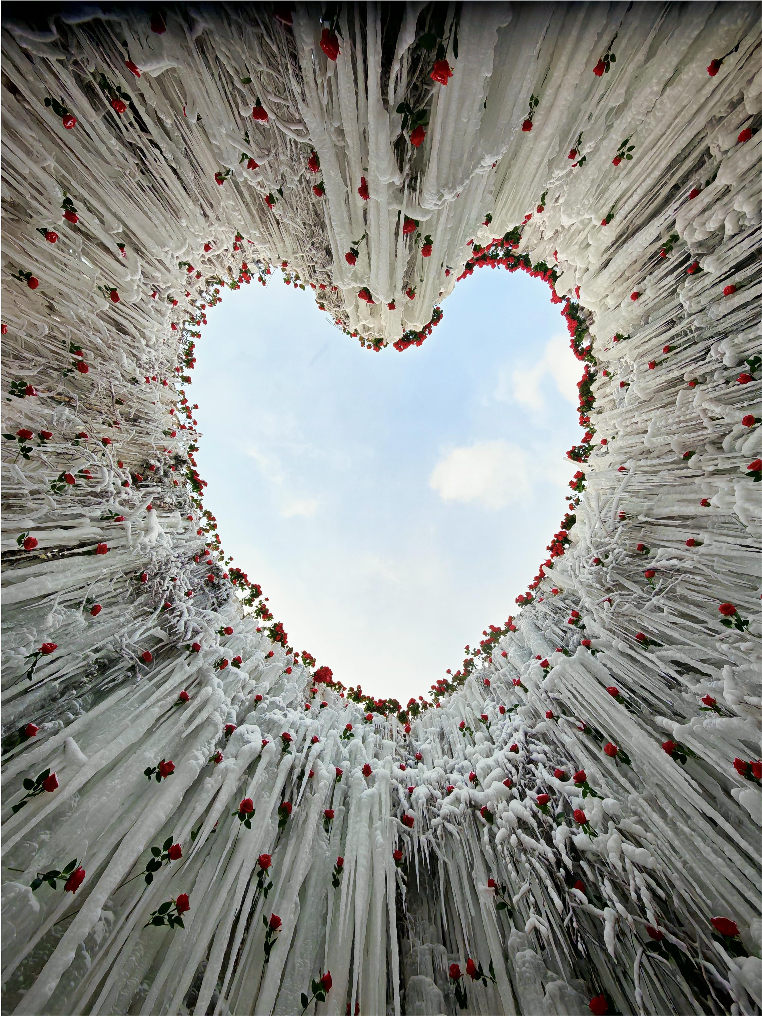 哈尔滨今年也太出片了来到哈尔滨后真的被冻老实了，感觉在哈尔滨的室外唯一热乎的