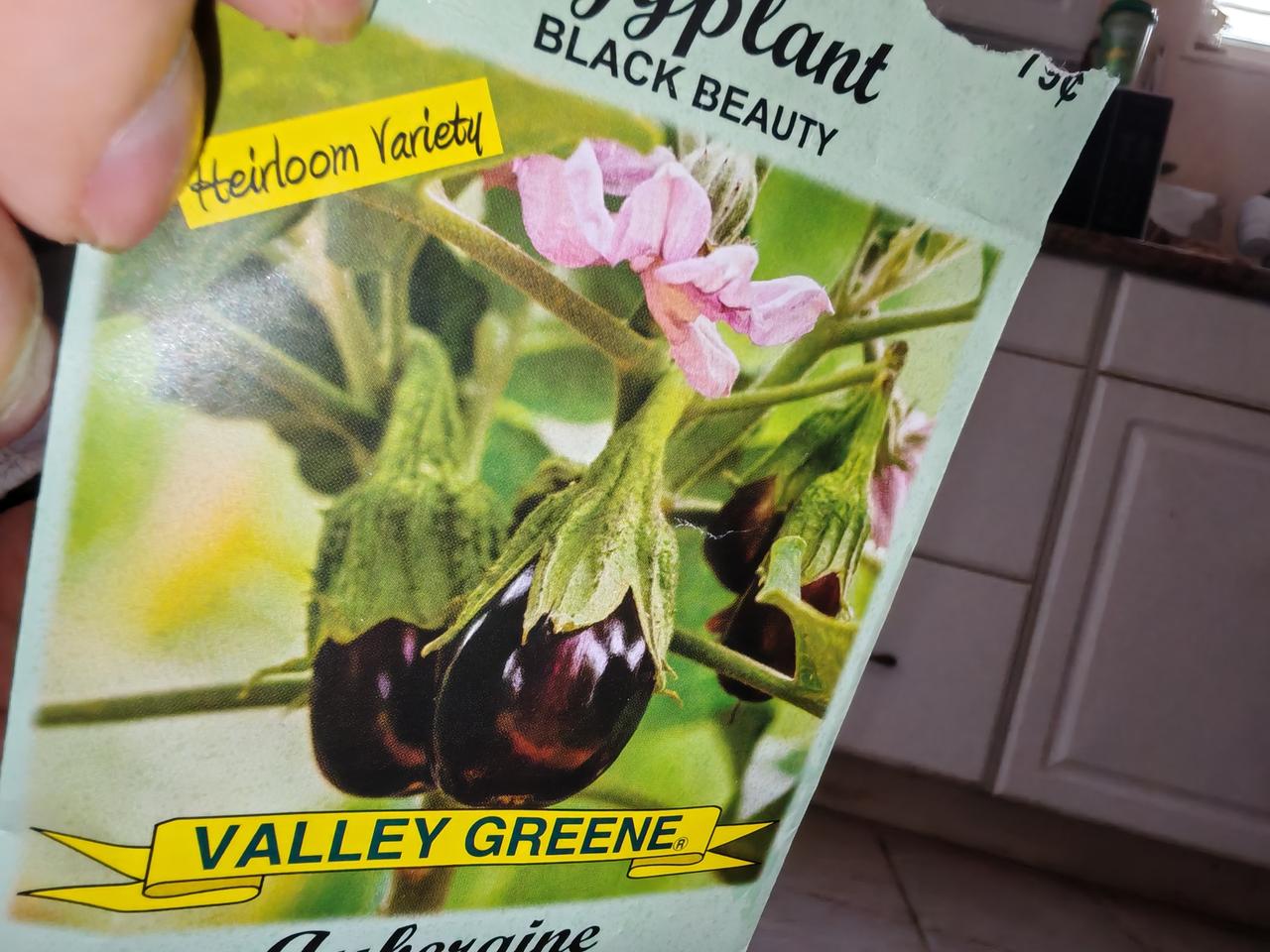 我和老伴儿正在挖空心思的想：这事怎么办呢？听有经验的植物专家讲课说：种菜也要