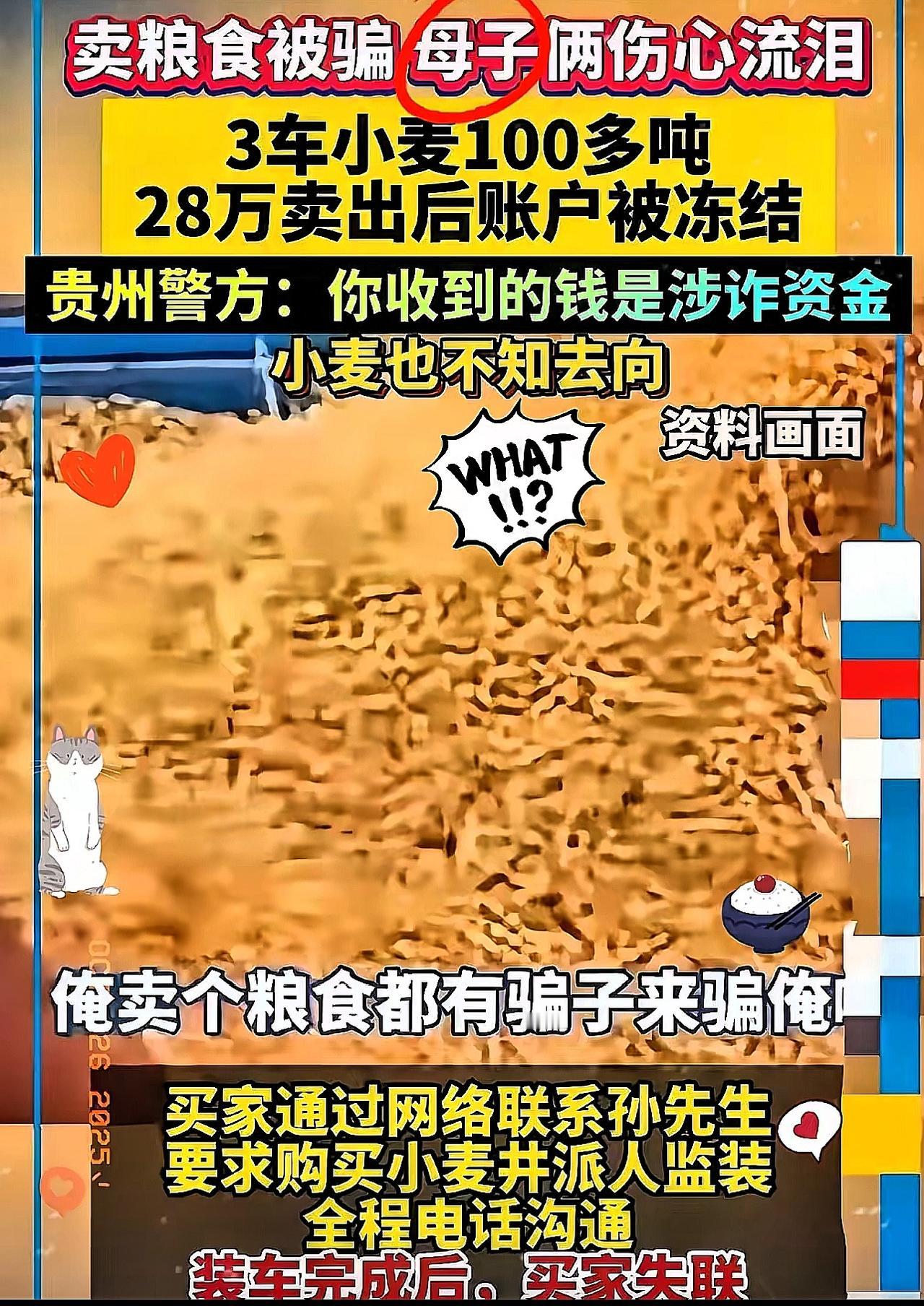 卖粮钱被冻，骗子却逍遥？这“死局”早该破了！河南大哥卖100多吨小麦收28万