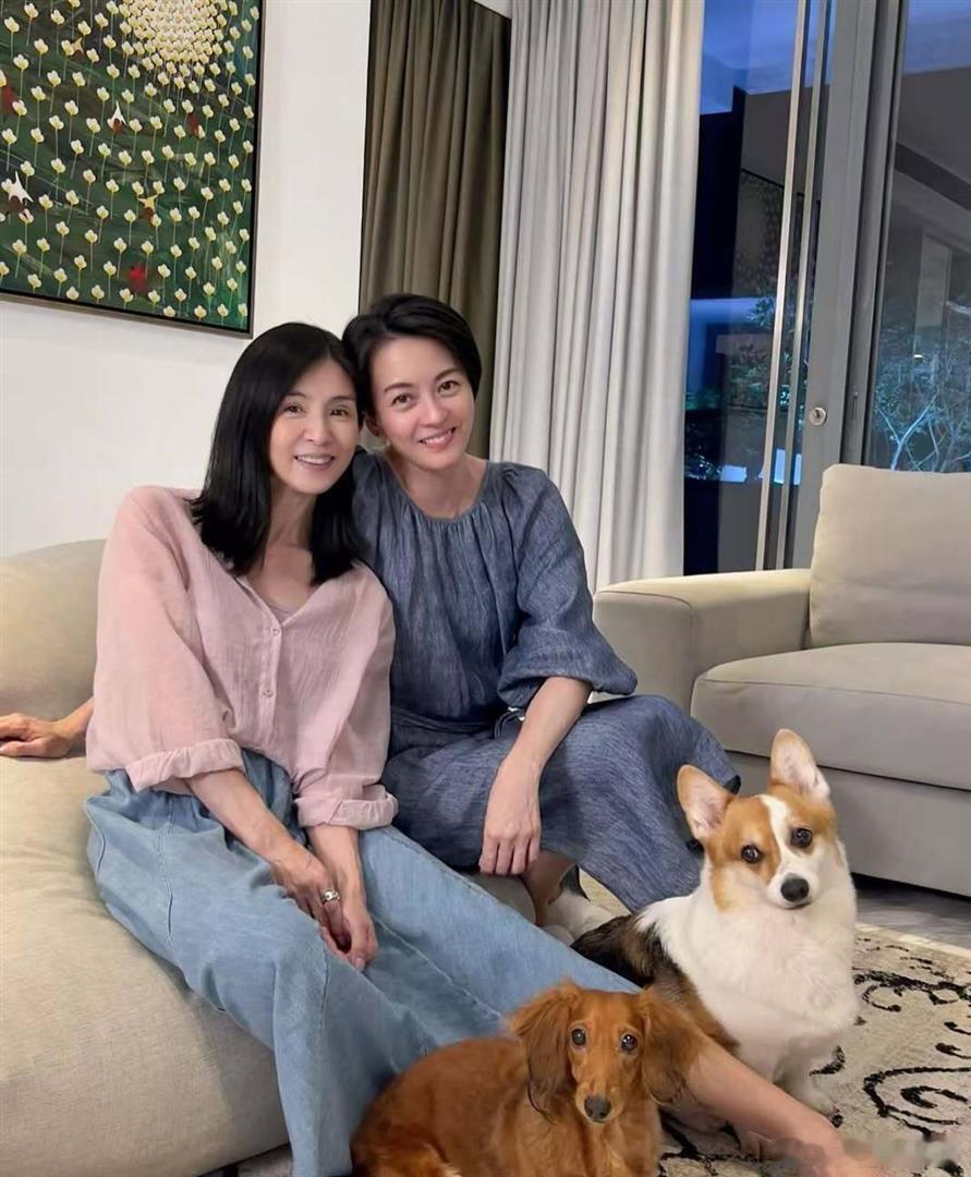 90年代玉女杨采妮近状曝光近日，51岁的杨采妮最近在小红书晒出素颜近照，皮肤紧