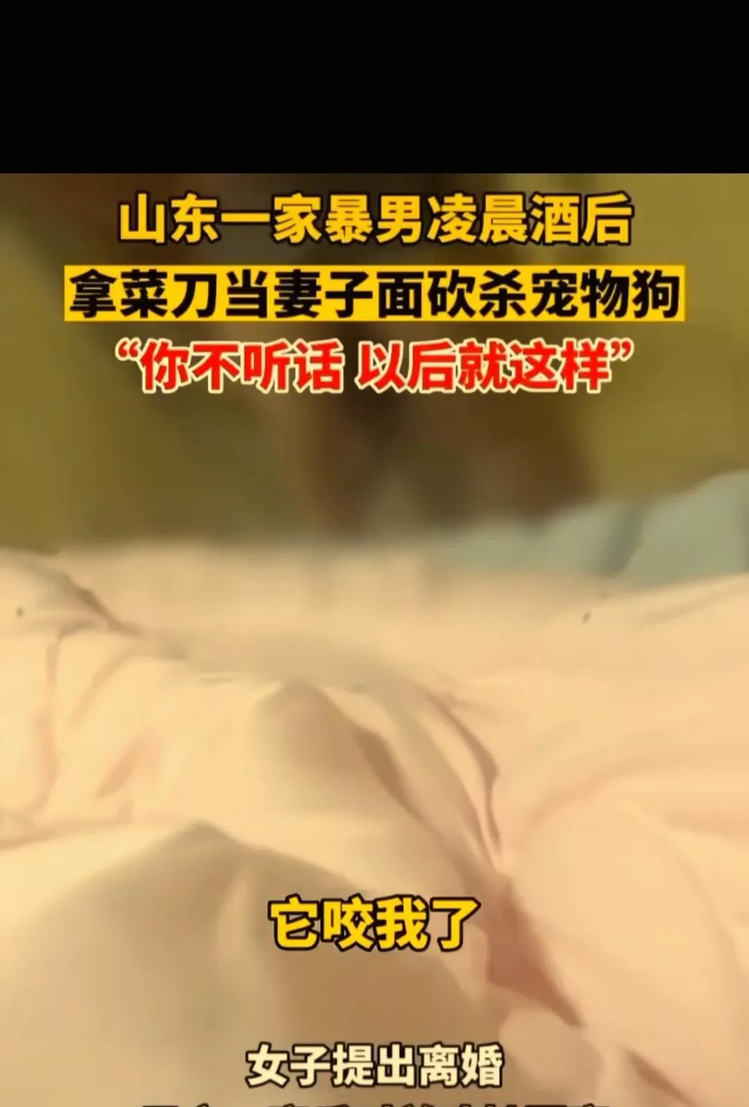 山东一家暴男喝完酒回家，拿菜刀当着妻子的面砍死家中宠物狗，说你不听话和它一样。