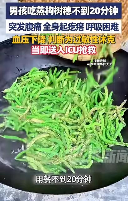 2026年3月河南许昌，一男子带儿子去饭店吃饭，点了一份蒸构树穗，不料，吃了不到