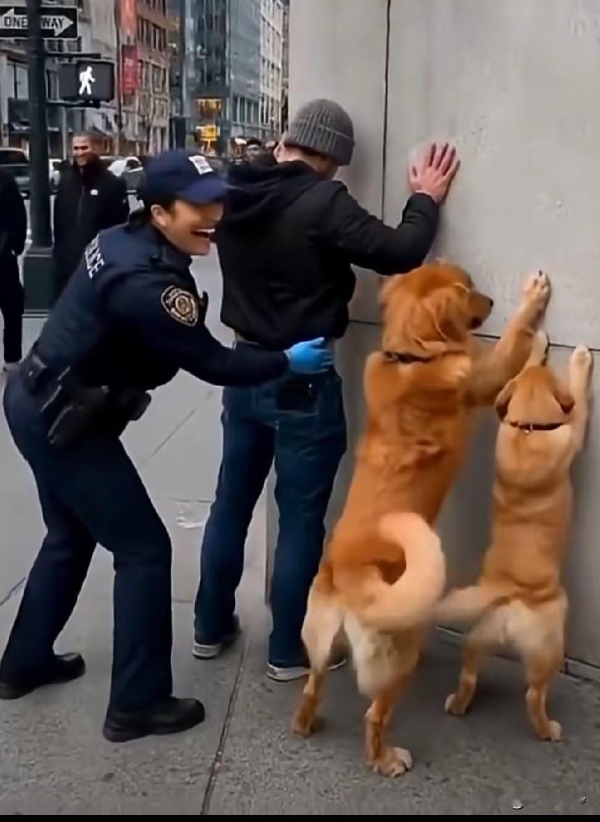 女警说：不是真的忍不住，我一般不笑的。狗狗说：我们也要跟人一样的待遇啊，快来搜啊