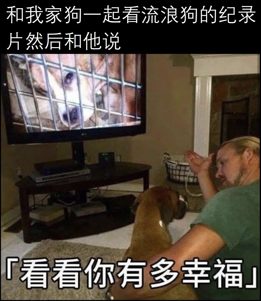 狗：这是专门的吧