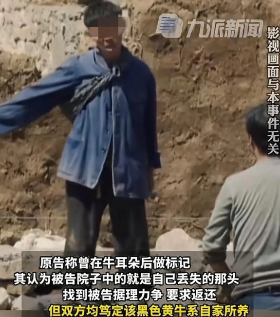 哭笑不得！福建，男子发现自己家的小黄牛丢了，四处去找，3天后在农户家发现了一头黄