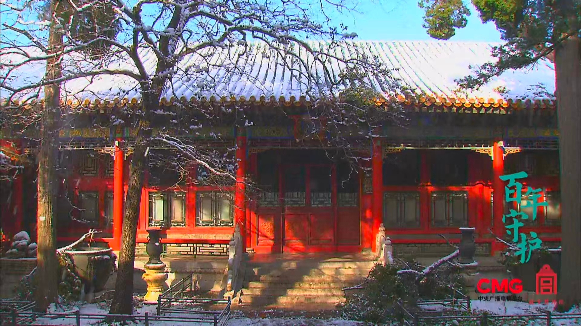一年四季的故宫帮你找全了故宫的四季从不只红墙黄瓦春日故宫是位水墨画家！玉兰在青