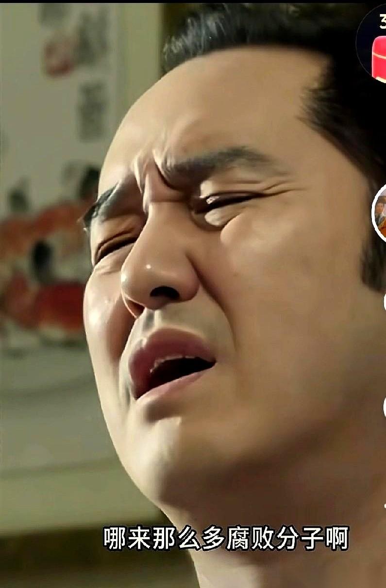 我到现在都想不通，《人民的名义》当年是怎么能播的。真的，就感觉好像在自家客厅里