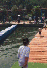 爆笑GIF: 妹子, 没事逗猪干嘛呢?